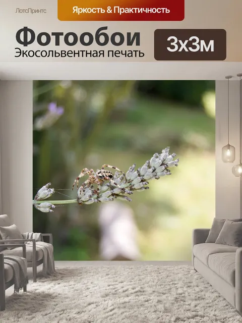 Фотообои Паук