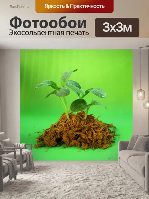 Фотообои Молодое дерево