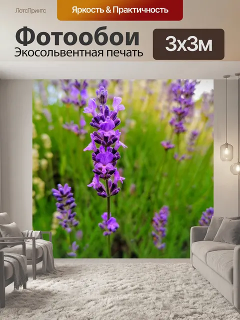 Фотообои Лаванда