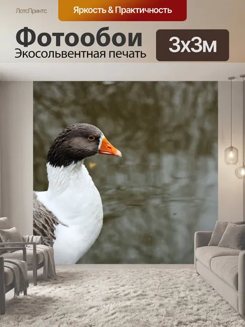 Фотообои Гуси
