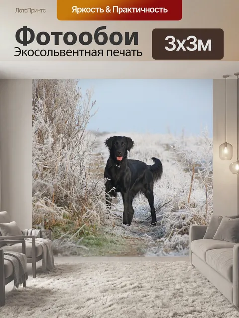 Фотообои Природа