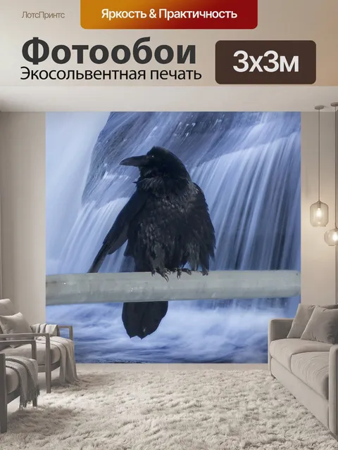 Фотообои Ворона