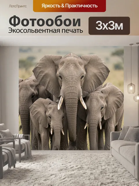 300 × 300 см · Экосольвентная печать