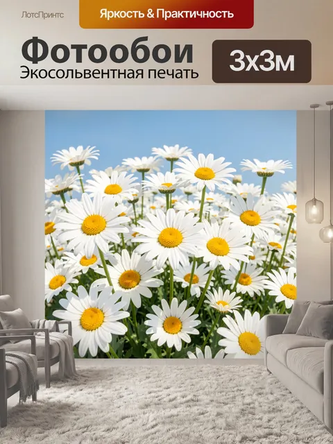 Фотообои Белые ромашки под голубым небом