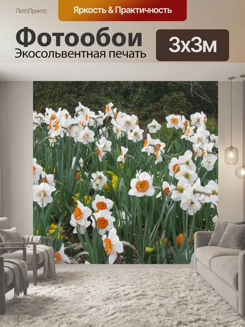 Фотообои Цветы