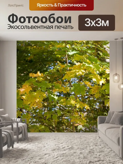 Фотообои Клен