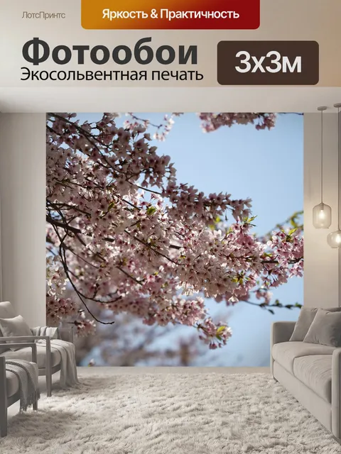 Фотообои Цветение вишни