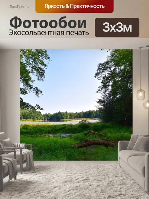 Фотообои Лес