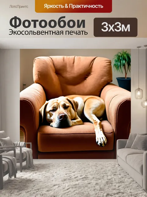 Фотообои лабрадор, спящий в кресле, умиротворение и спокойствие, уютная комната