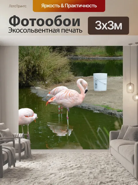 Фотообои Птица