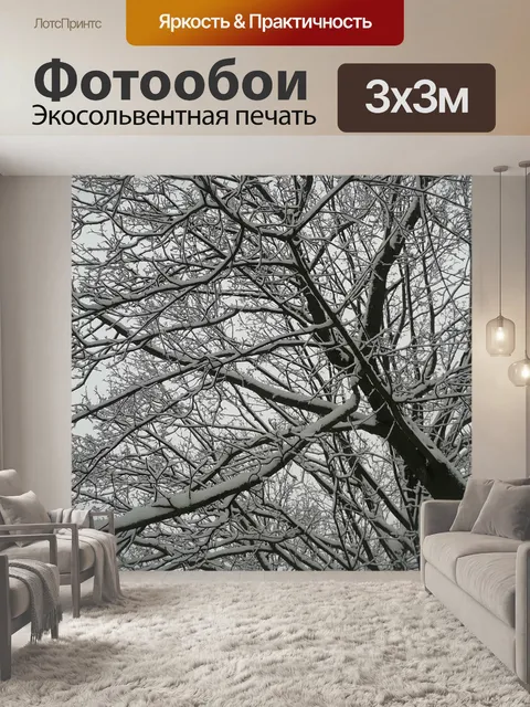Фотообои Зима