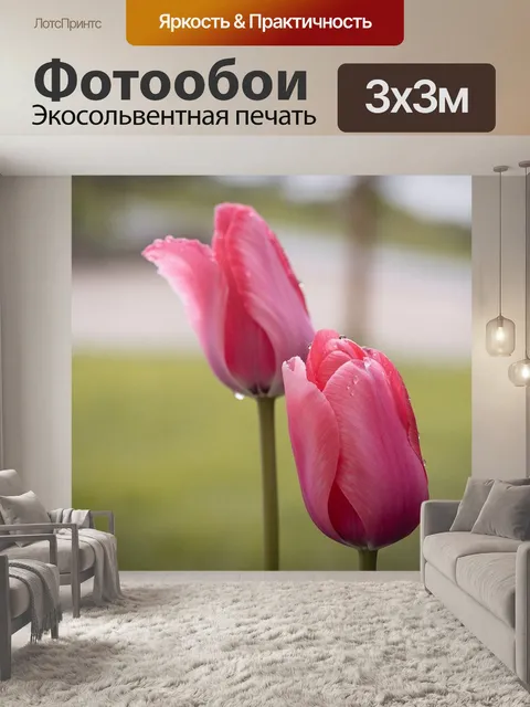 Фотообои Тюльпаны