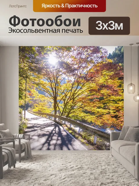 Фотообои Дорога