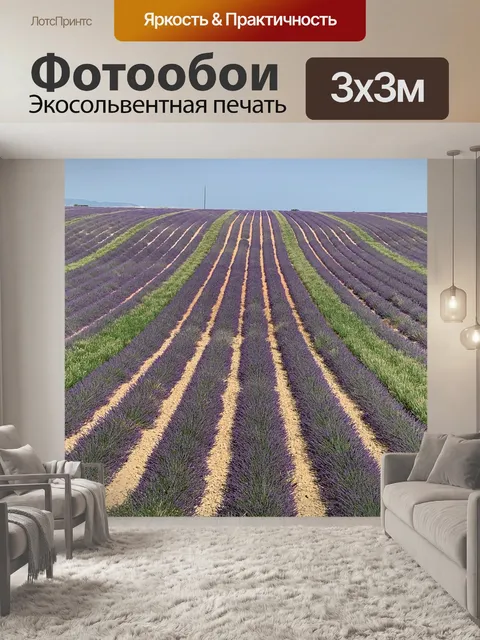 Фотообои Лаванда