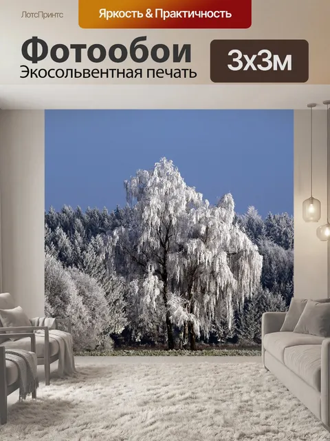 Фотообои Деревья