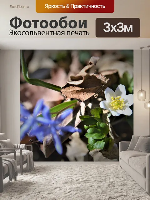 Фотообои Цветок