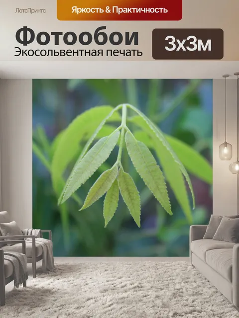 Фотообои брызги пекан листьев ореха