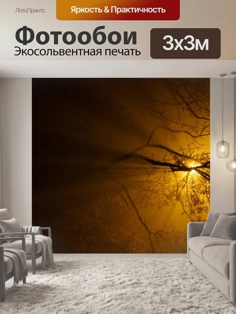 Фотообои Ночь
