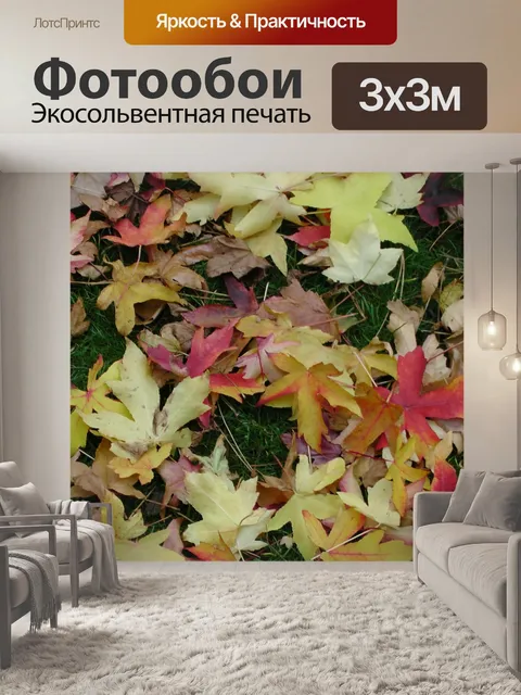 Фотообои Осенние листья