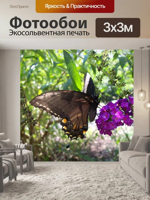 Фотообои Бабочка