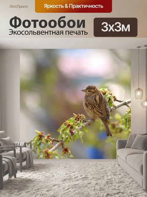 Фотообои Воробей