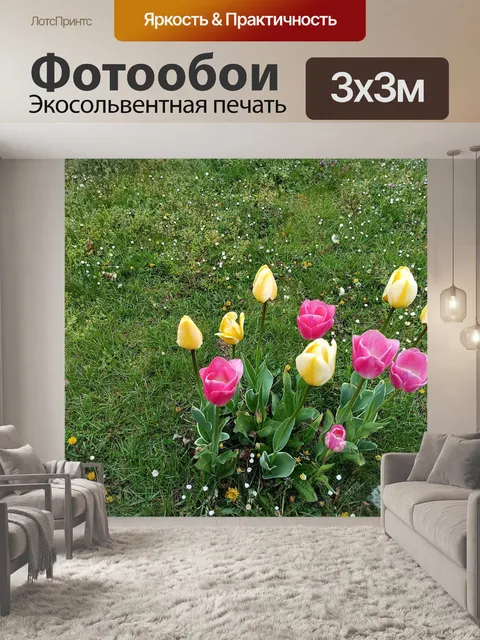 Фотообои Тюльпаны