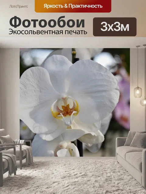 Фотообои Цветок