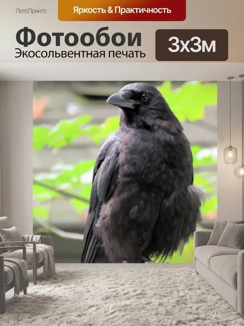 Фотообои Ворона на заборе 3