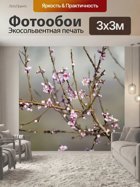 Фотообои Розовый
