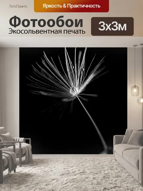 Фотообои Одуванчик