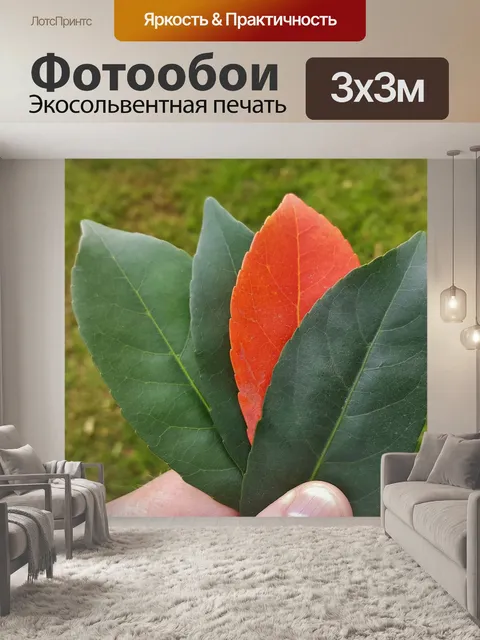 Фотообои Листья