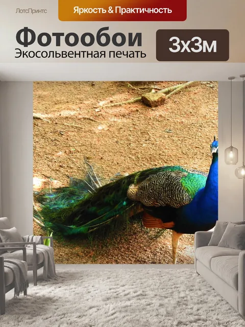 Фотообои Павлин