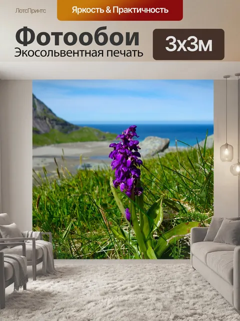 Фотообои Орхидеи