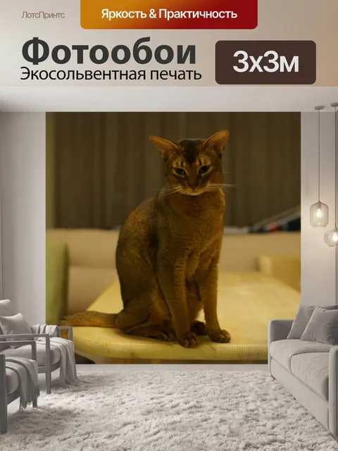 Фотообои Кошка