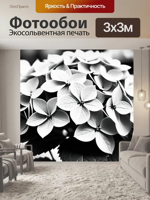Фотообои с гортензией чернобелый