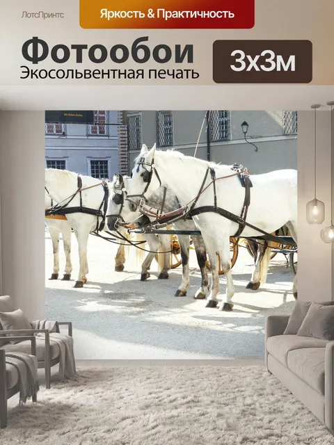 Фотообои Лошади