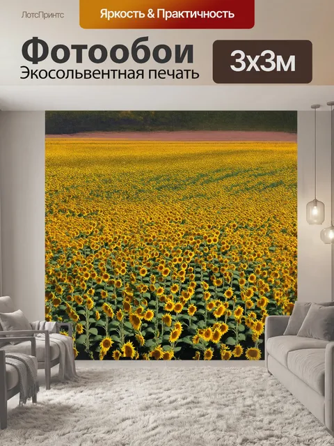 Фотообои огромное поле подсолнухов, словно море солнечного света, простирается так далеко, как только может видеть глаз