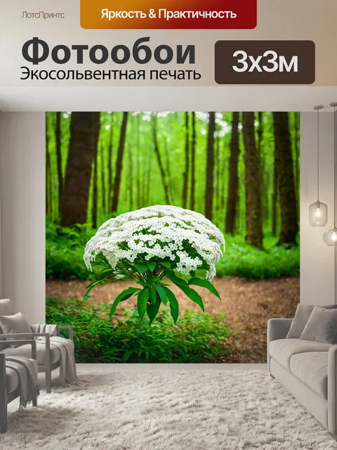 Фотообои лес с белыми цветами, пышущими свежестью и утонченной красотой