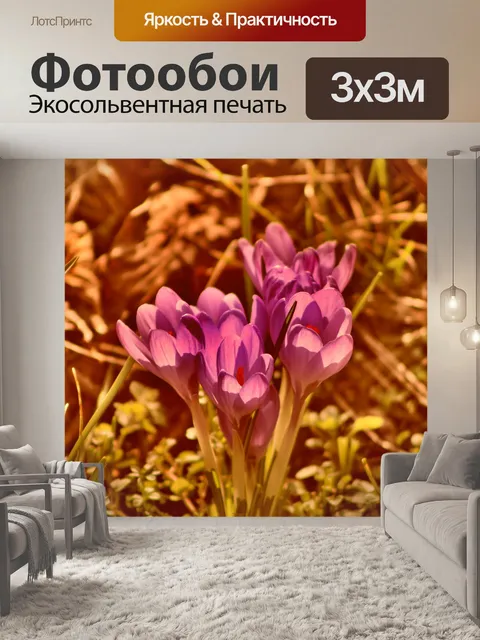 Фотообои Графика