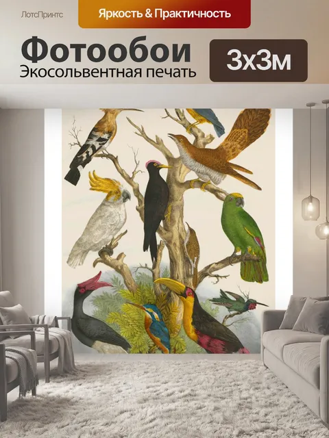 Фотообои Винтажные иллюстративные птицы