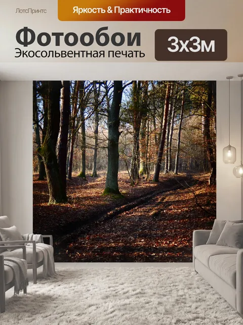 Фотообои Лес