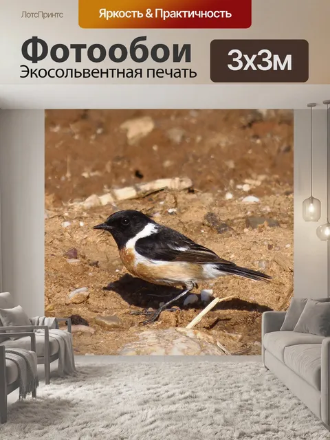 Фотообои Каменный камень