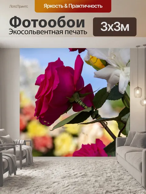 Фотообои Роза
