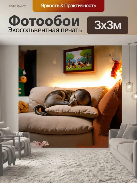 Фотообои бурбуль спокойно спит на мягком диване