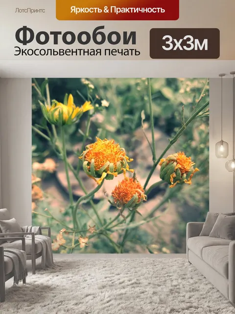 Фотообои Природа
