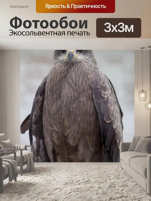 Фотообои Сова