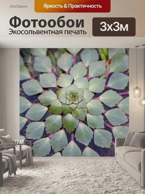 Фотообои Листья
