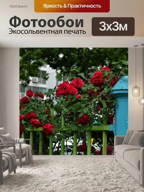 Фотообои Роза