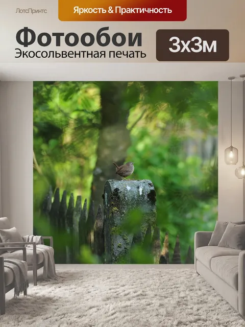 Фотообои Птица