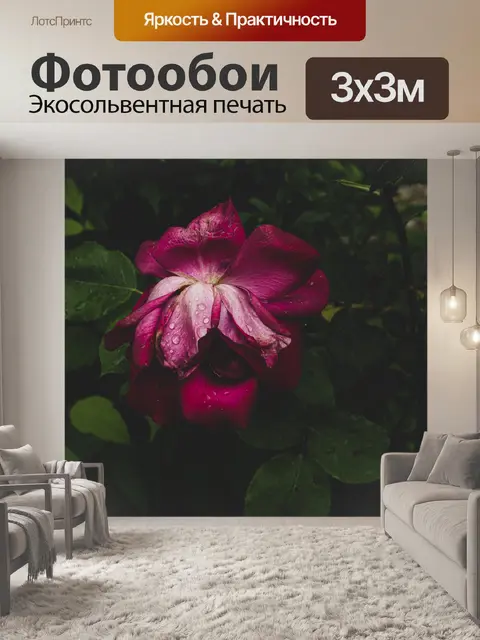 Фотообои Розовый